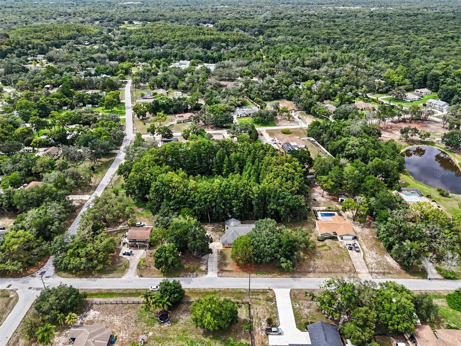 10551 Casey Drive New Port Richey FL 34654