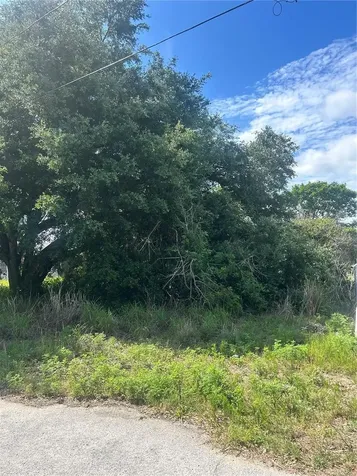 387 Avenue B Lake Wales FL 33859