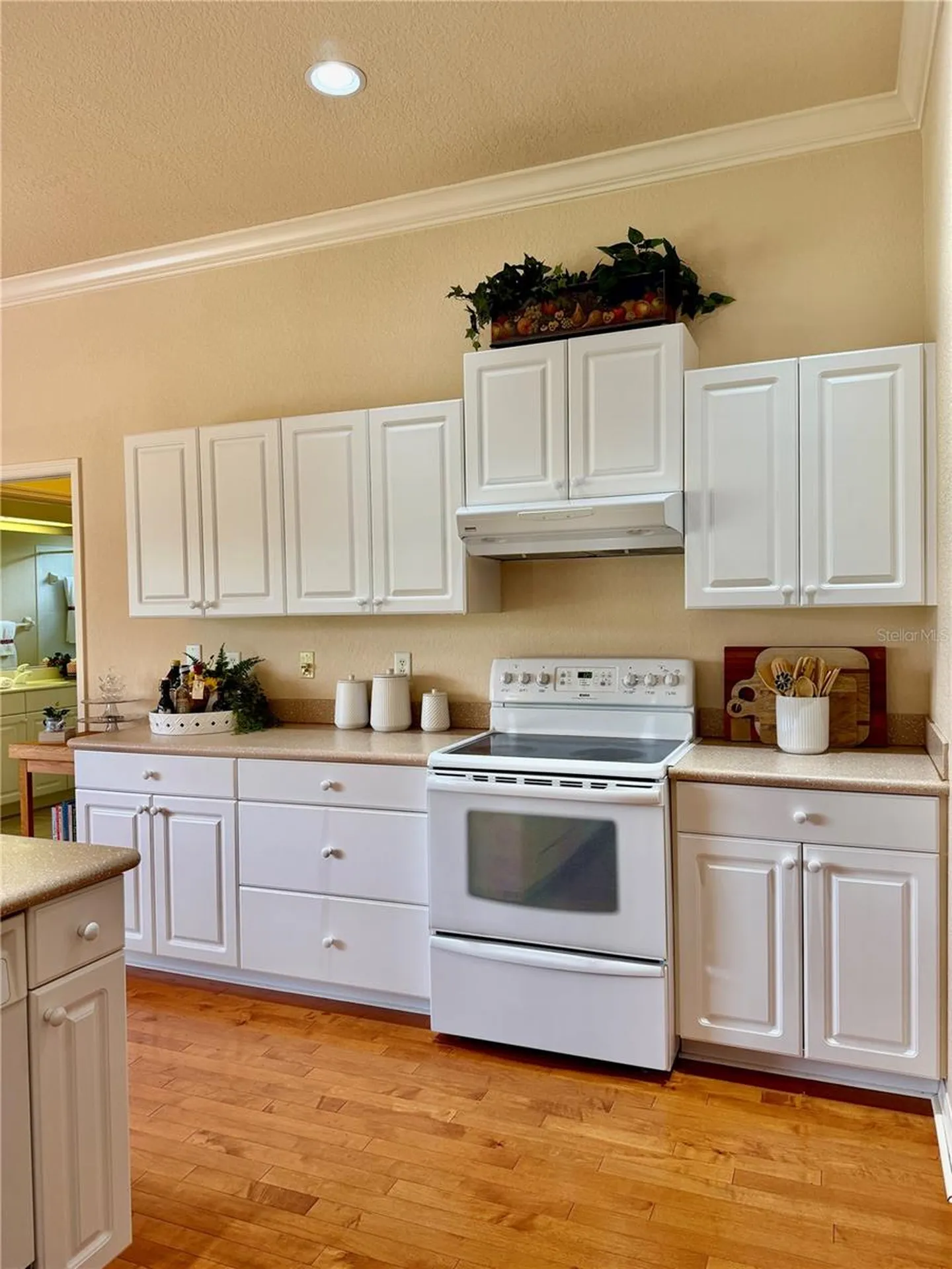 3710 Little Country Road Parrish FL 34219