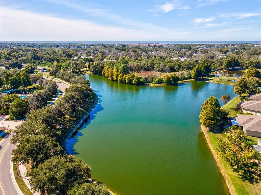 2239 Barracuda Court Holiday FL 34691