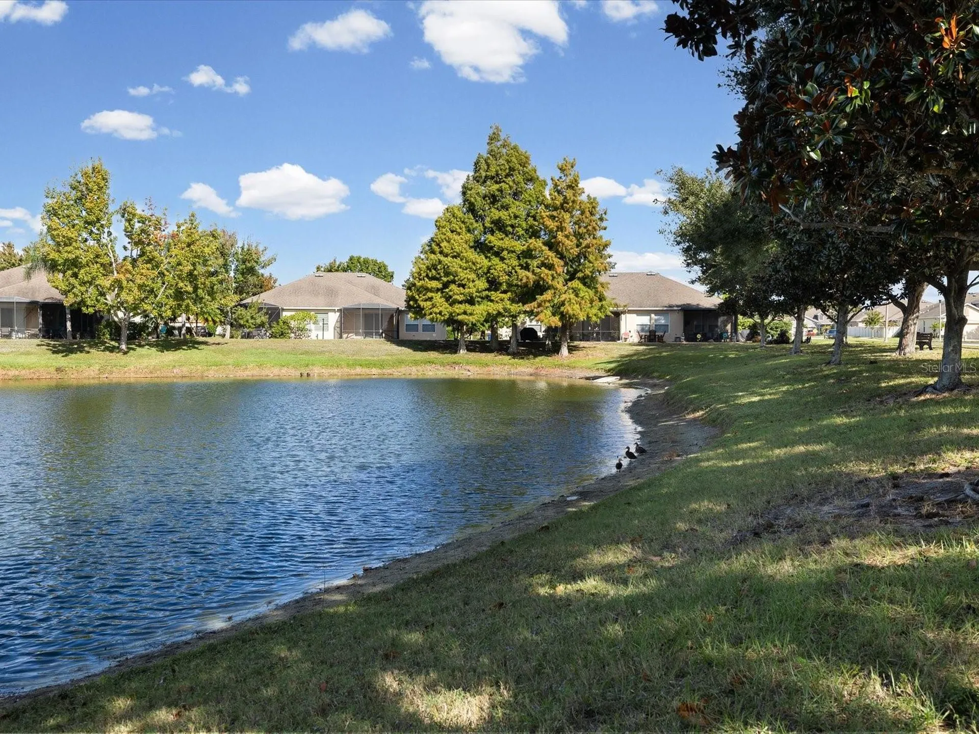 2239 Barracuda Court Holiday FL 34691