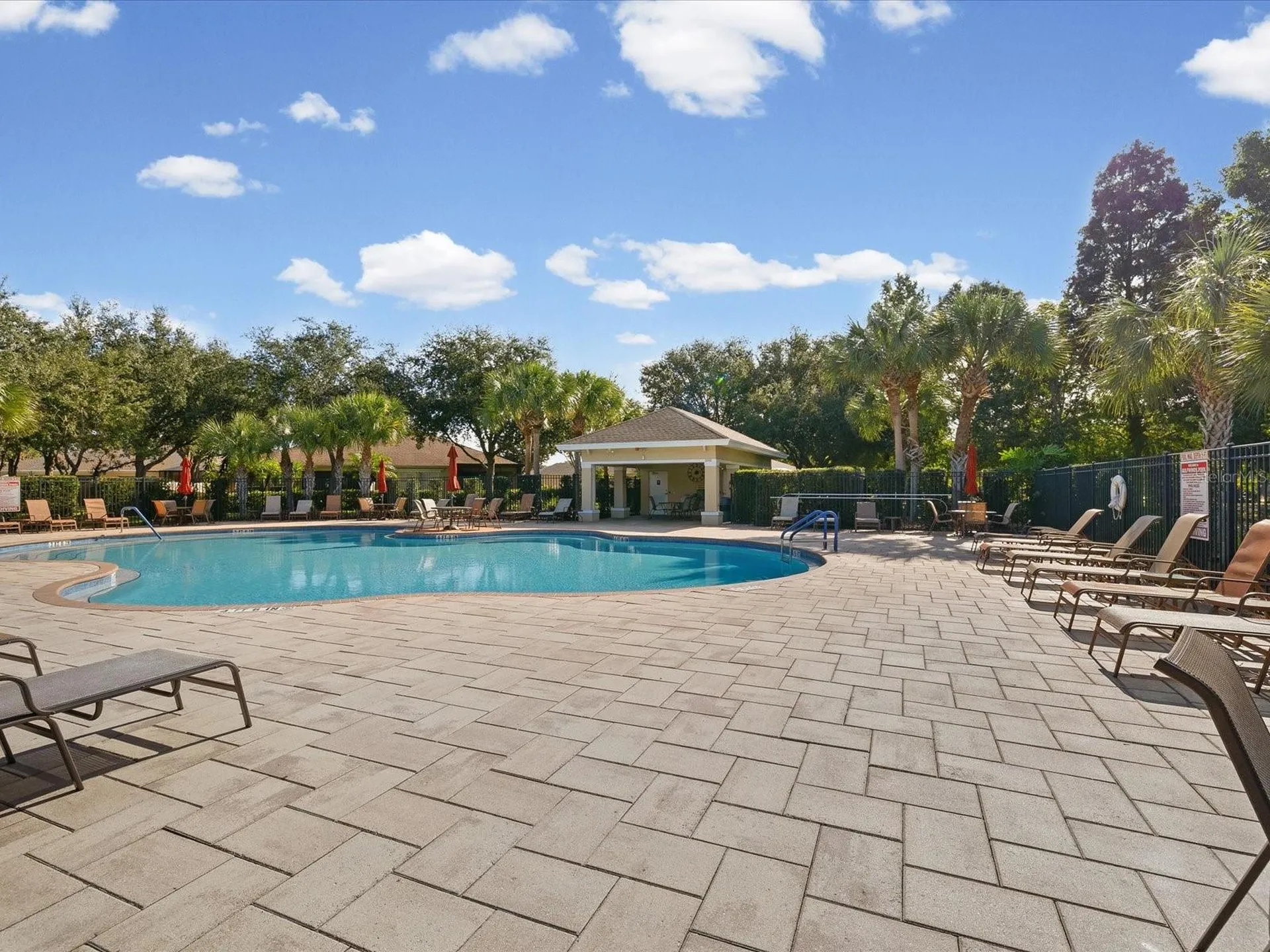 2239 Barracuda Court Holiday FL 34691