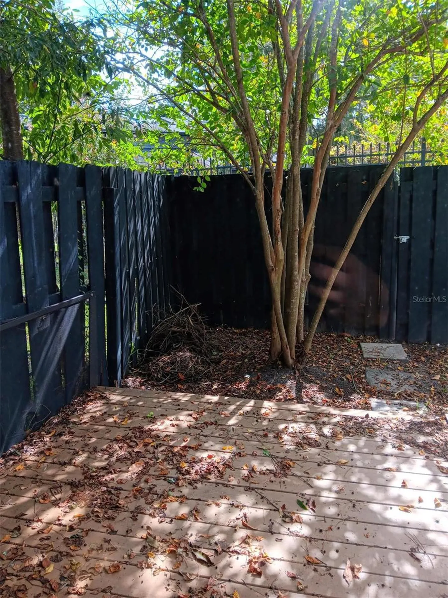 4419 SW 20th Lane Gainesville FL 32607