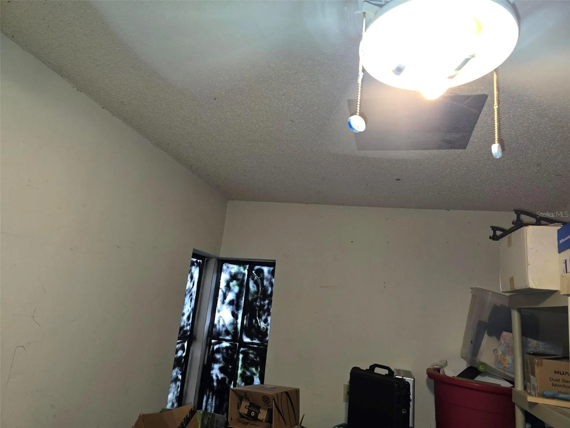 5404 N Mckay Avenue Tampa FL 33603