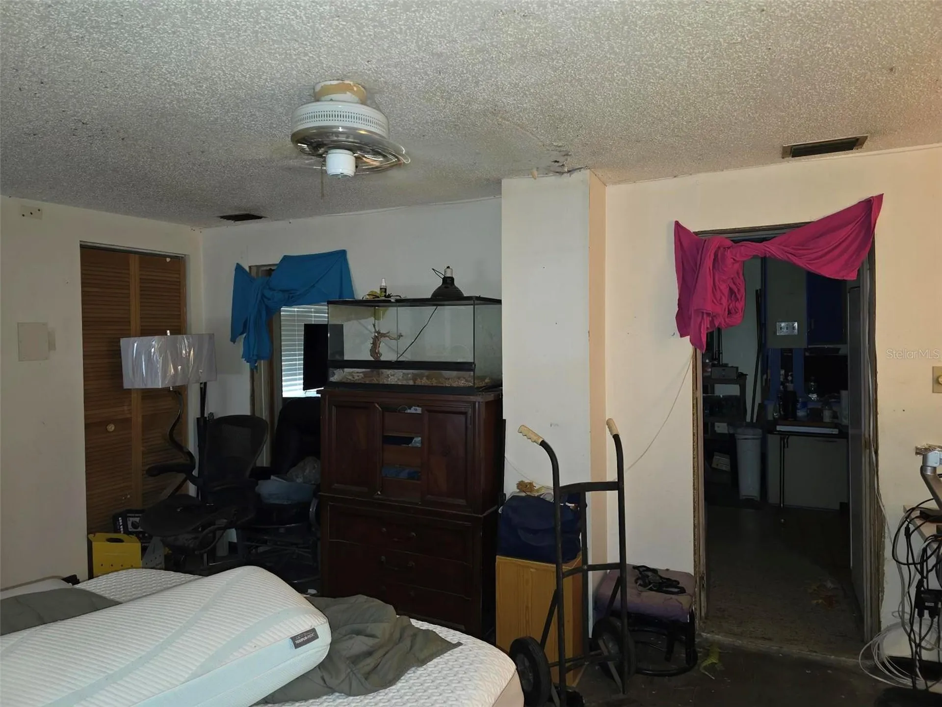 5404 N Mckay Avenue Tampa FL 33603
