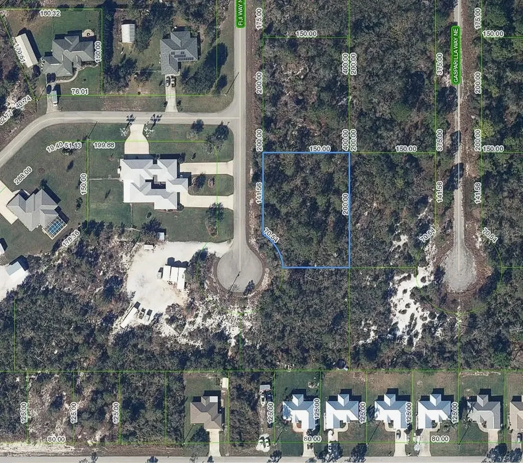 216 Fiji Way NE Lake Placid FL 33852