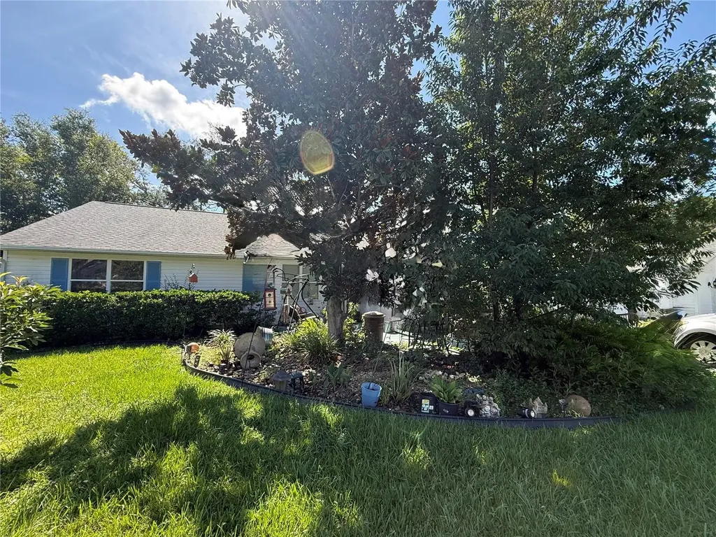 1117 Ben Hope Drive Leesburg FL 34788