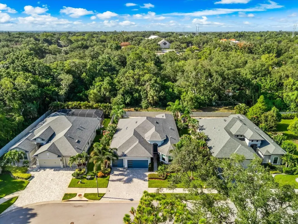 2013 Bee Branch Court Palm Harbor FL 34683