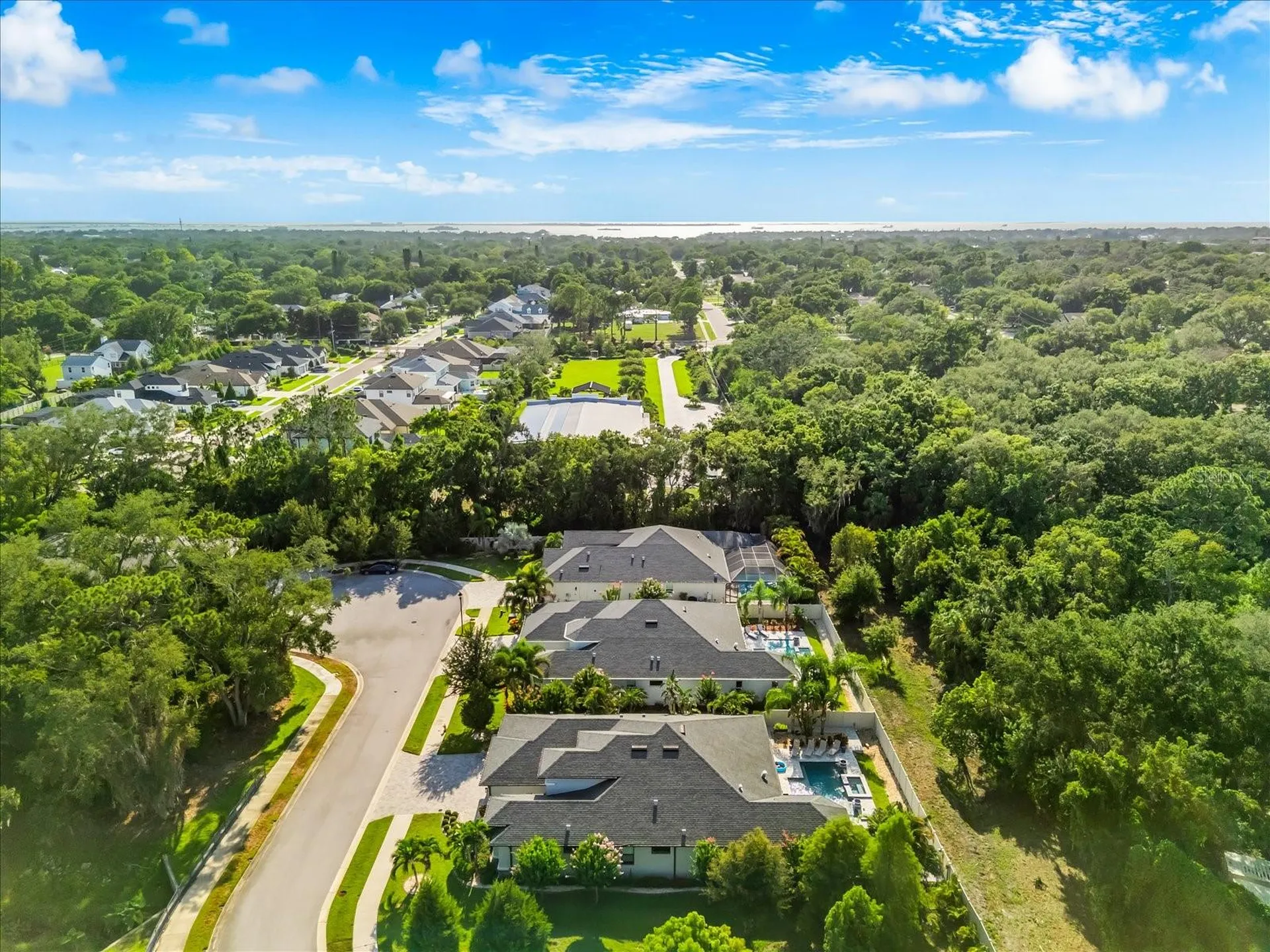 2013 Bee Branch Court Palm Harbor FL 34683