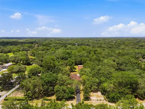 15041 Camrose Avenue Spring Hill FL 34610