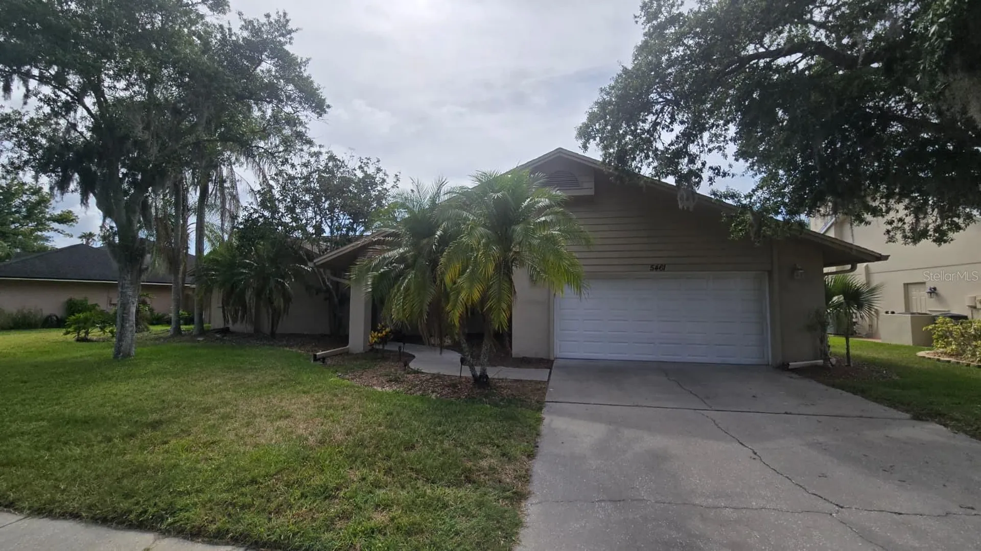 5461 Oakridge Drive Palm Harbor FL 34685