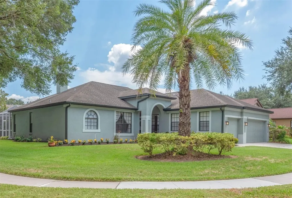2219 Longmore Circle Valrico FL 33596