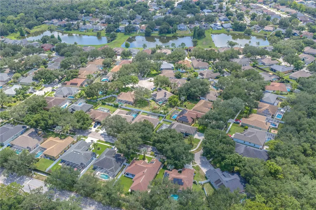 2219 Longmore Circle Valrico FL 33596