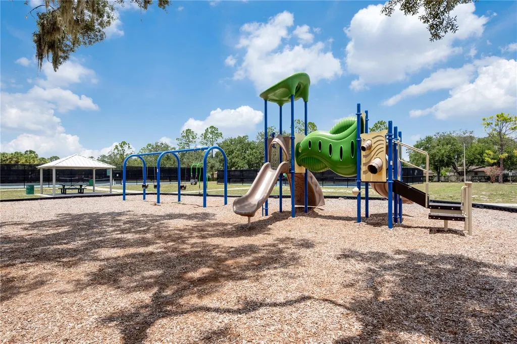 2219 Longmore Circle Valrico FL 33596