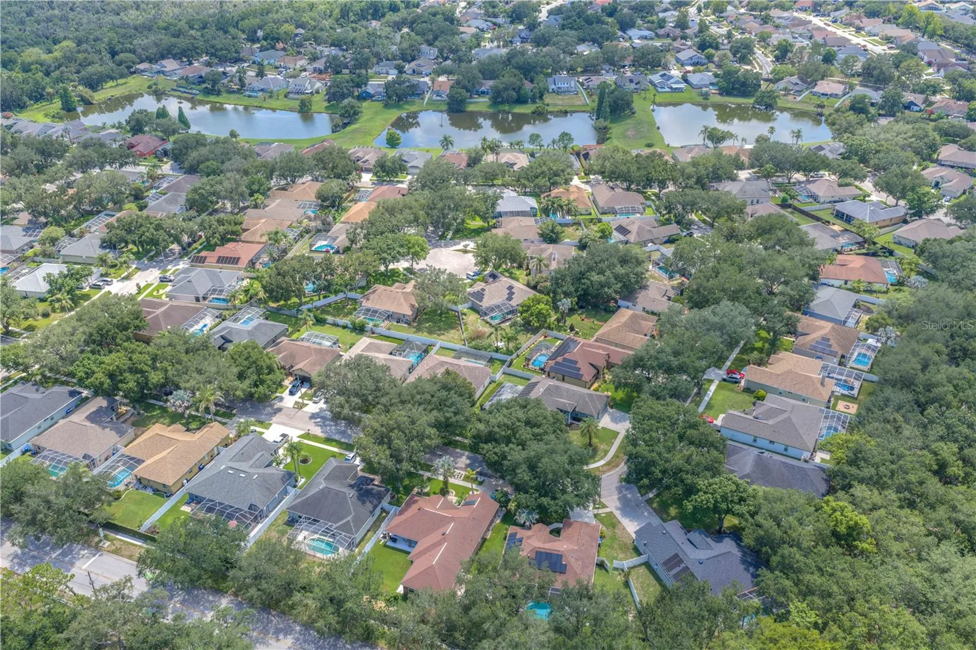 2219 Longmore Circle Valrico FL 33596