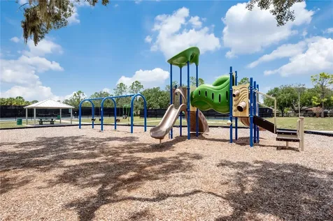 2219 Longmore Circle Valrico FL 33596