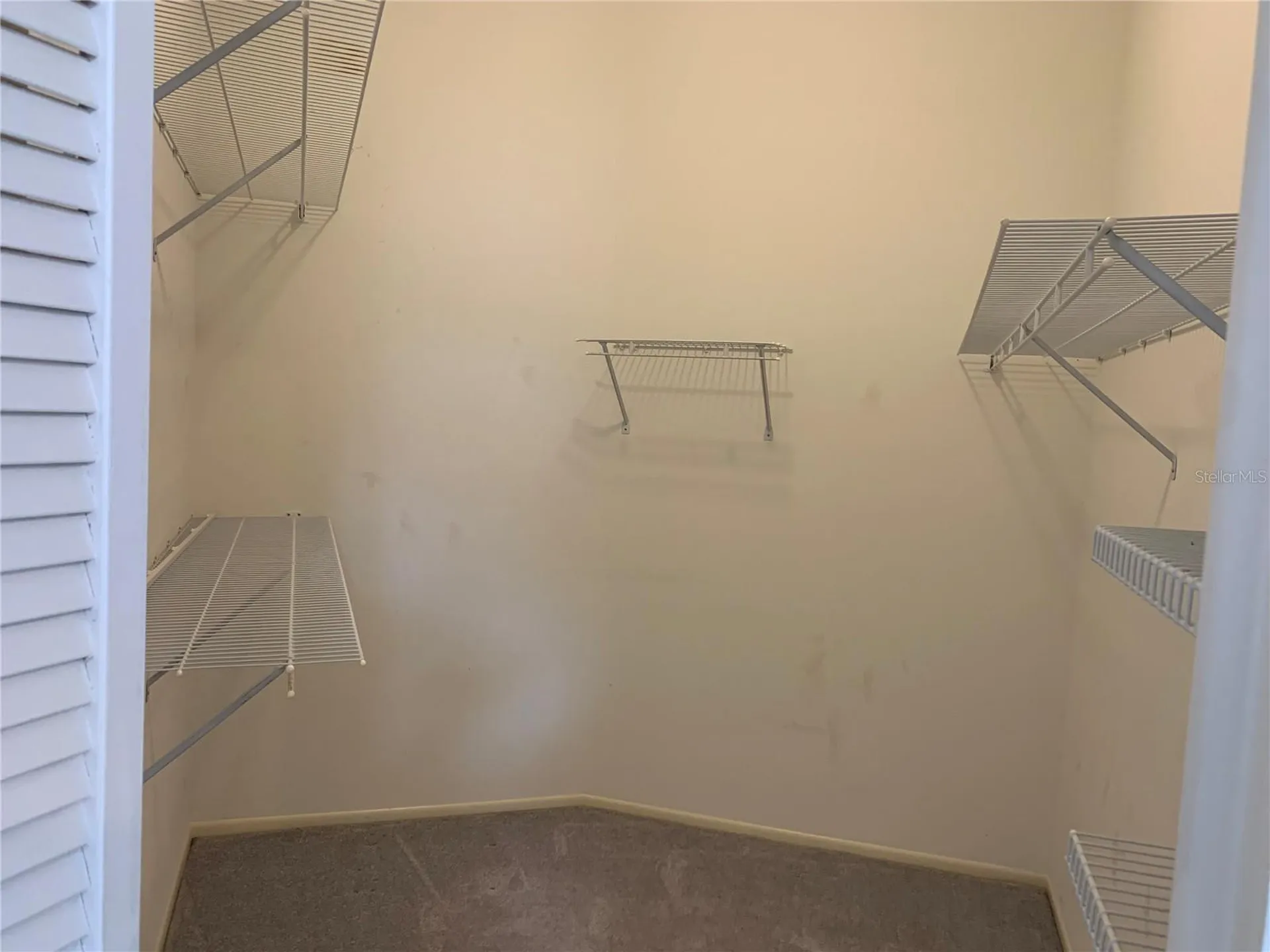 11417 Glenmont Drive Tampa FL 33635