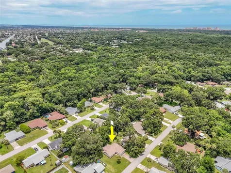52 Blakeport Lane Palm Coast FL 32137