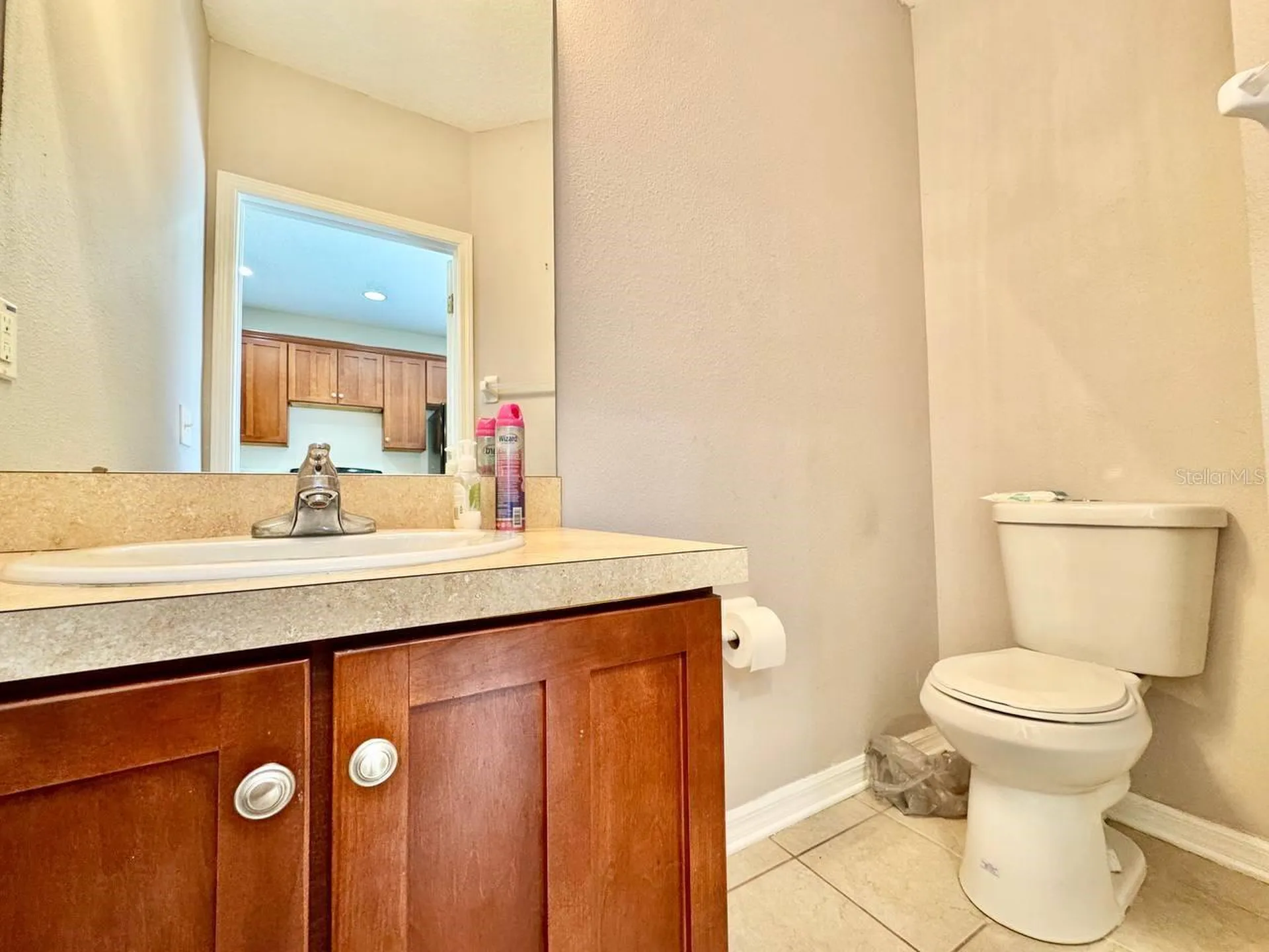 12381 Foxmoor Peak Drive Riverview FL 33579