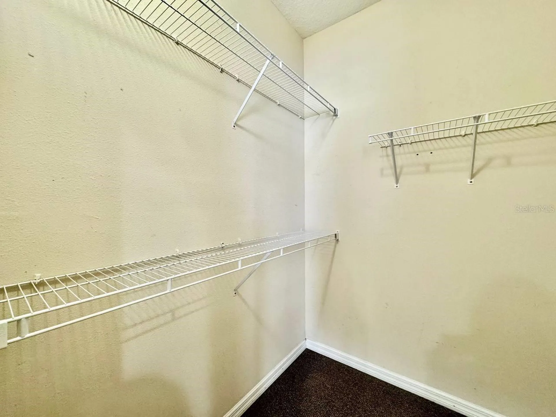 12381 Foxmoor Peak Drive Riverview FL 33579