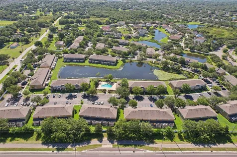 12381 Foxmoor Peak Drive Riverview FL 33579