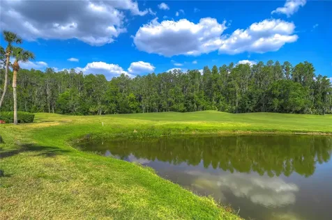 29300 Bay Hollow Drive Wesley Chapel FL 33543