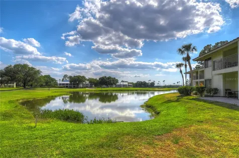 29300 Bay Hollow Drive Wesley Chapel FL 33543
