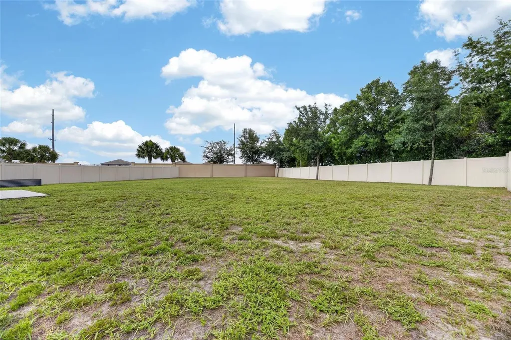12234 Blue Pacific Drive Riverview FL 33579