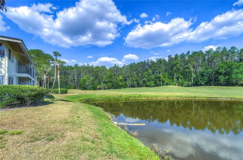 29300 Bay Hollow Drive Wesley Chapel FL 33543
