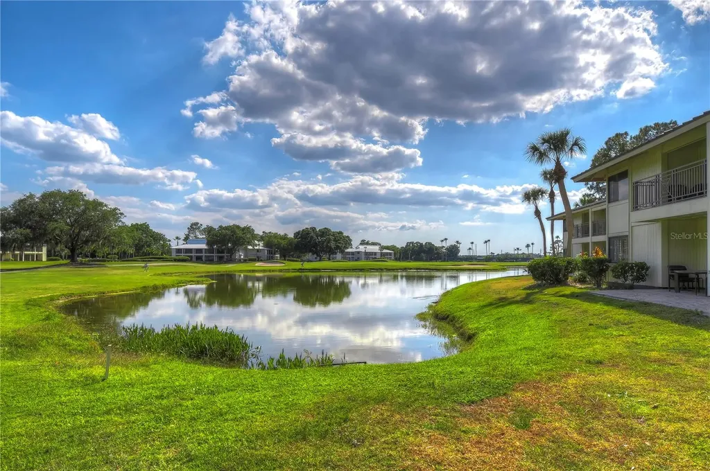 29300 Bay Hollow Drive Wesley Chapel FL 33543