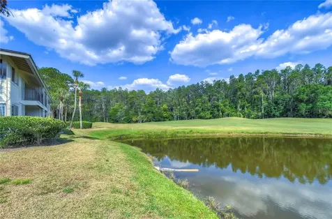 29300 Bay Hollow Drive Wesley Chapel FL 33543