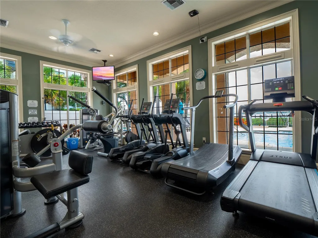 1203 Bay Club Circle Tampa FL 33607