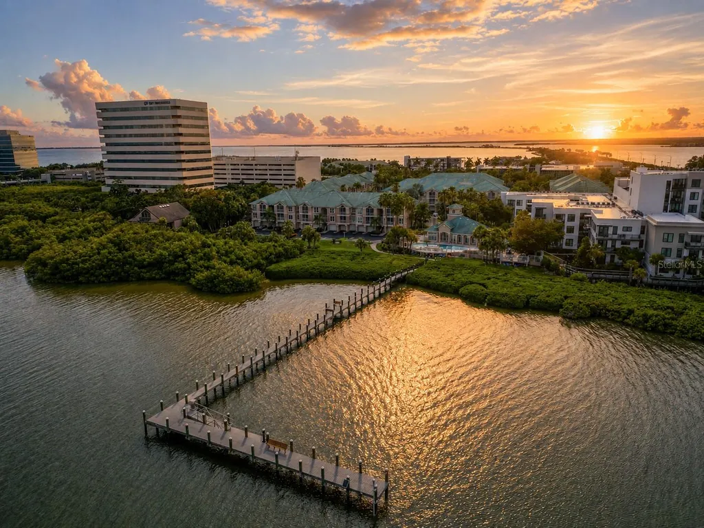 1203 Bay Club Circle Tampa FL 33607
