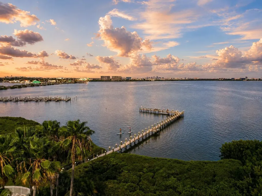 1203 Bay Club Circle Tampa FL 33607
