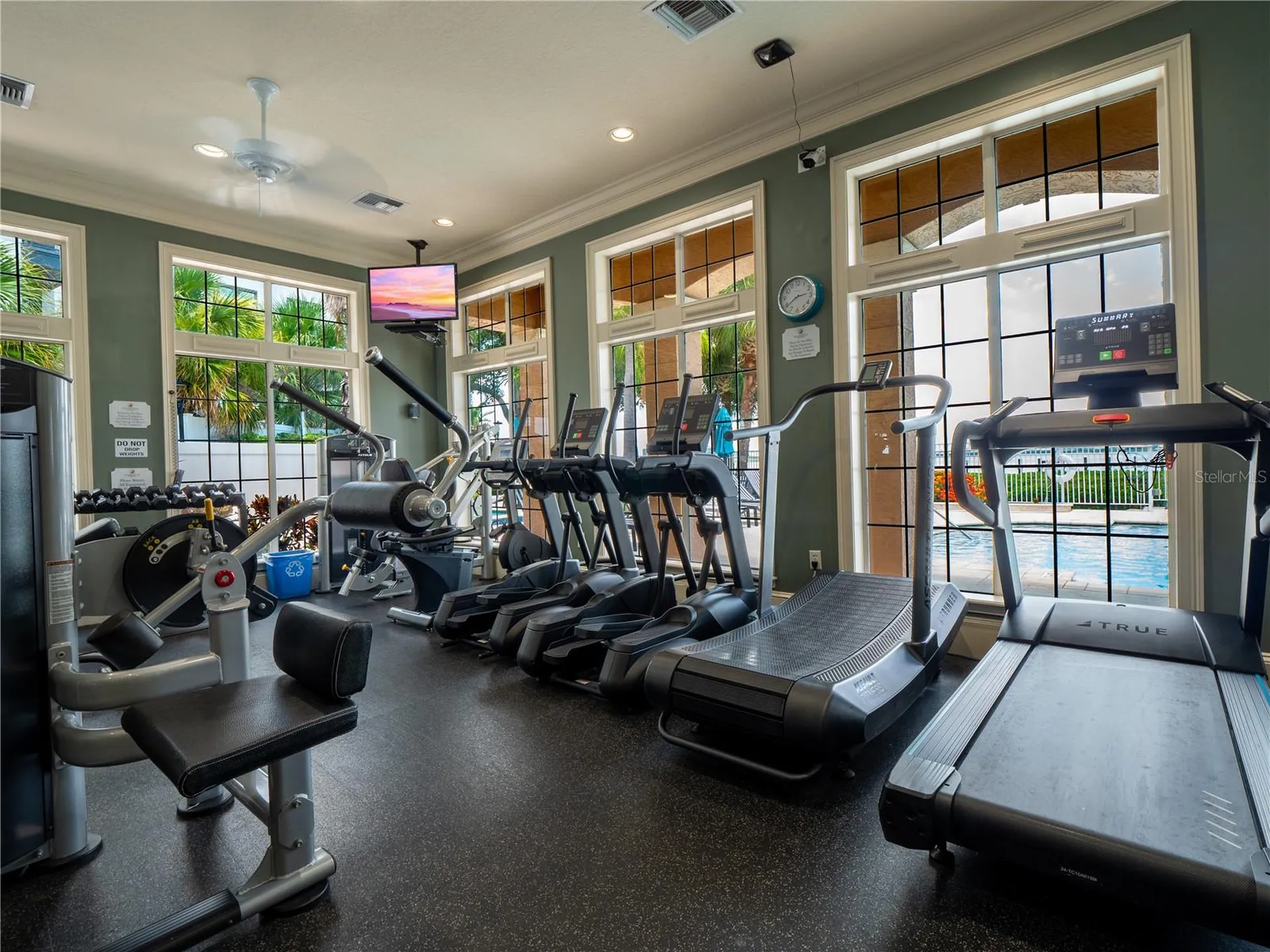 1203 Bay Club Circle Tampa FL 33607