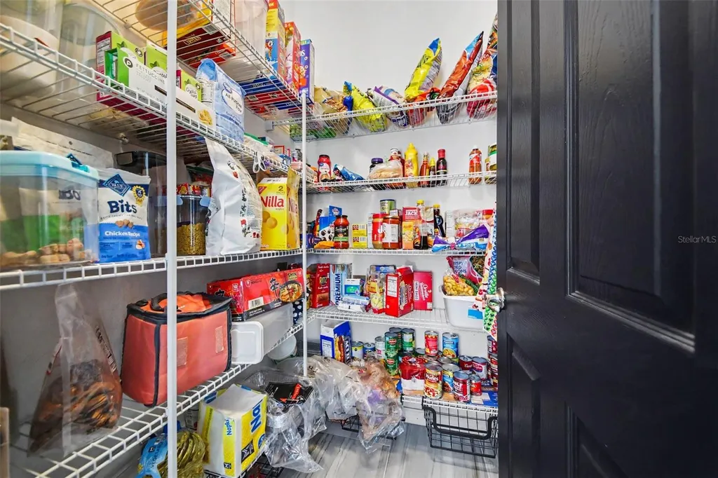 1374 Merion Drive Mount Dora FL 32757