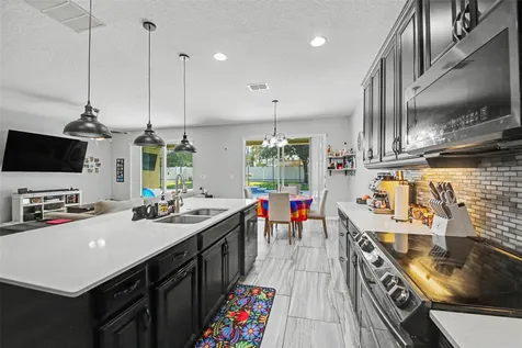1374 Merion Drive Mount Dora FL 32757