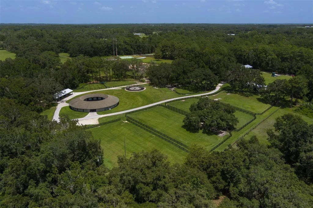 8351 NW 110th Street Reddick FL 32686