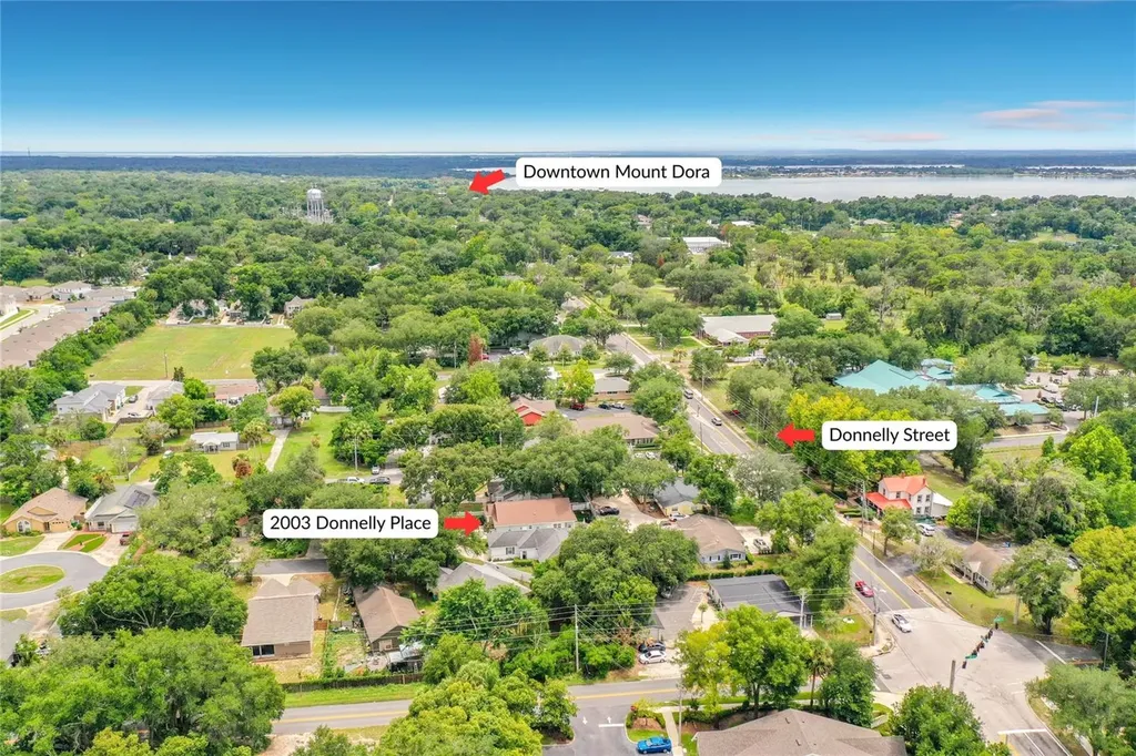 2003 Donnelly Place Mount Dora FL 32757
