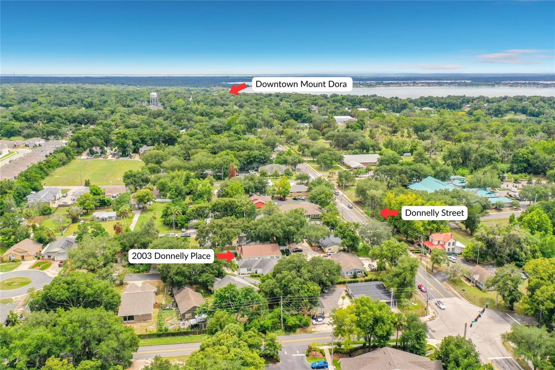 2003 Donnelly Place Mount Dora FL 32757