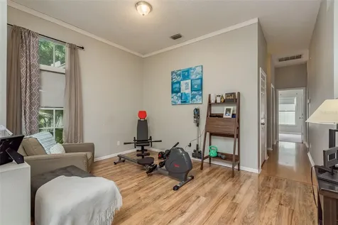 28739 Cottagewood Drive Wesley Chapel FL 33545