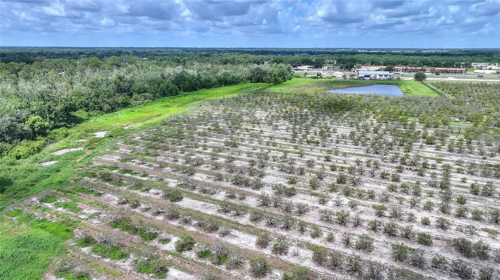 U S Highway 27 Dundee FL 33838