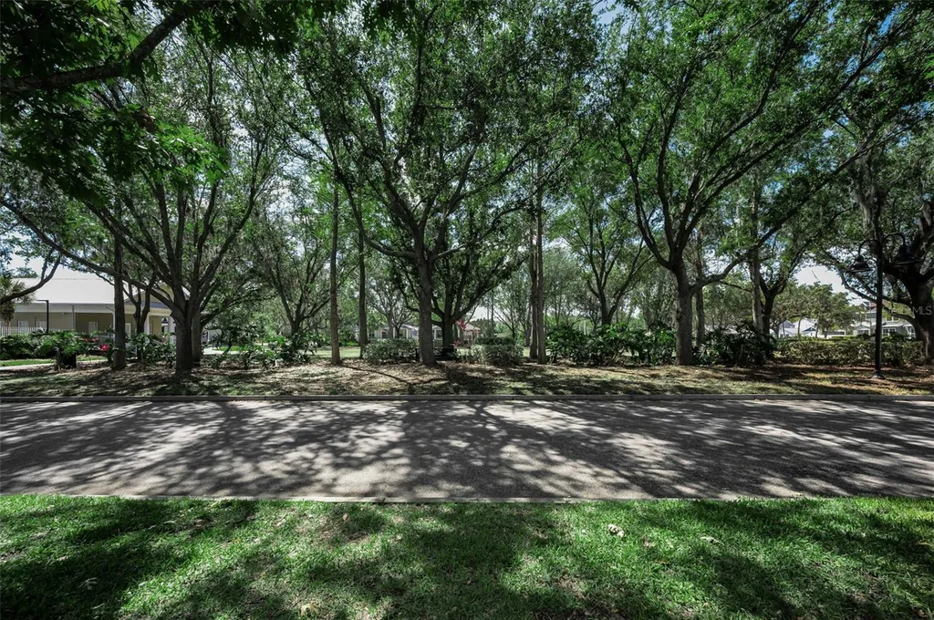 10327 Micanopy Street New Port Richey FL 34655