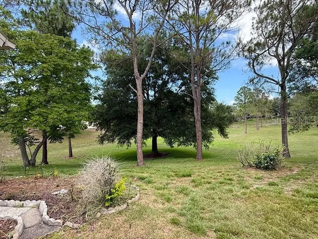 2232 Springmeadow Drive Spring Hill FL 34606