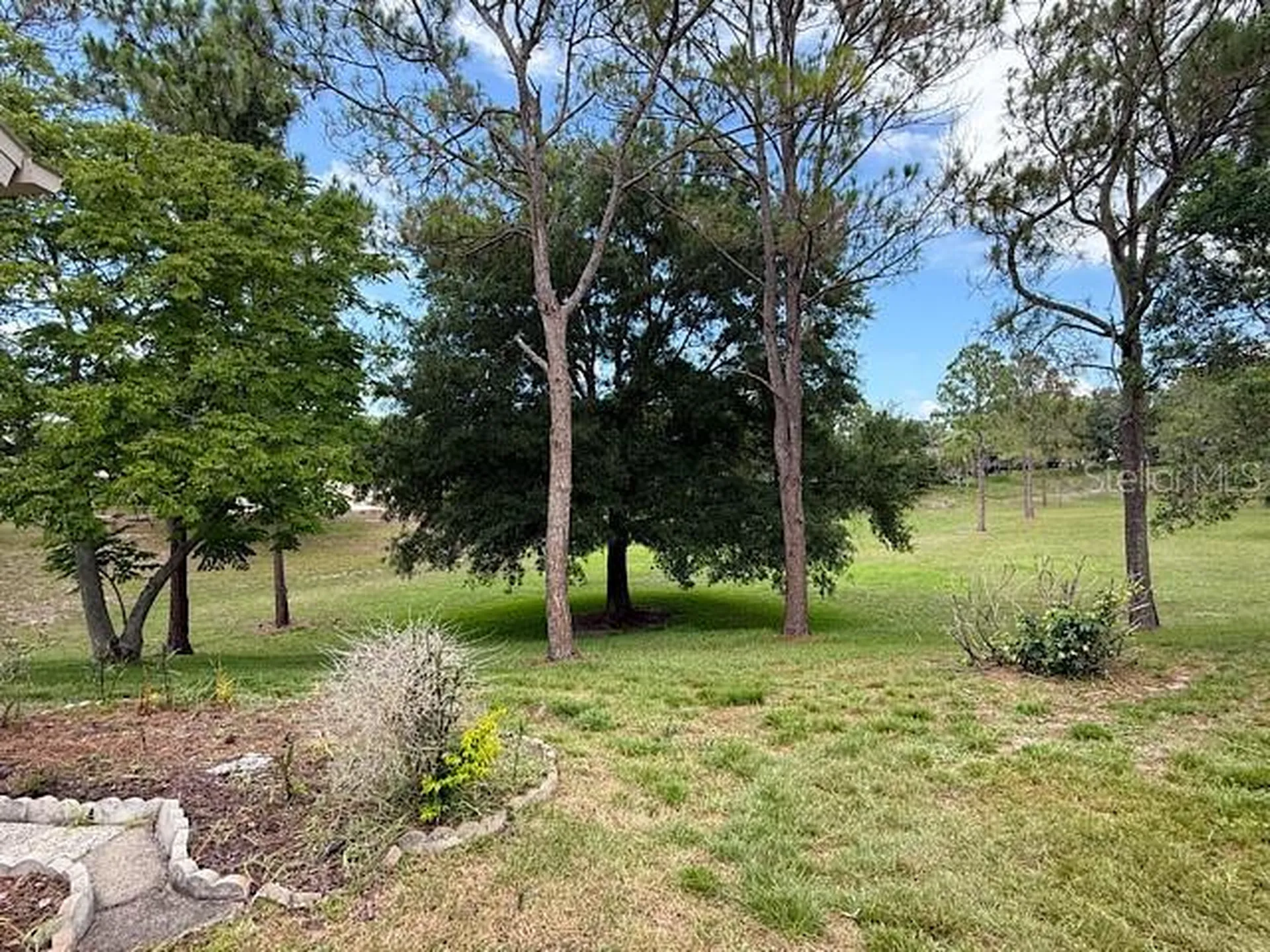 2232 Springmeadow Drive Spring Hill FL 34606