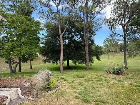 2232 Springmeadow Drive Spring Hill FL 34606