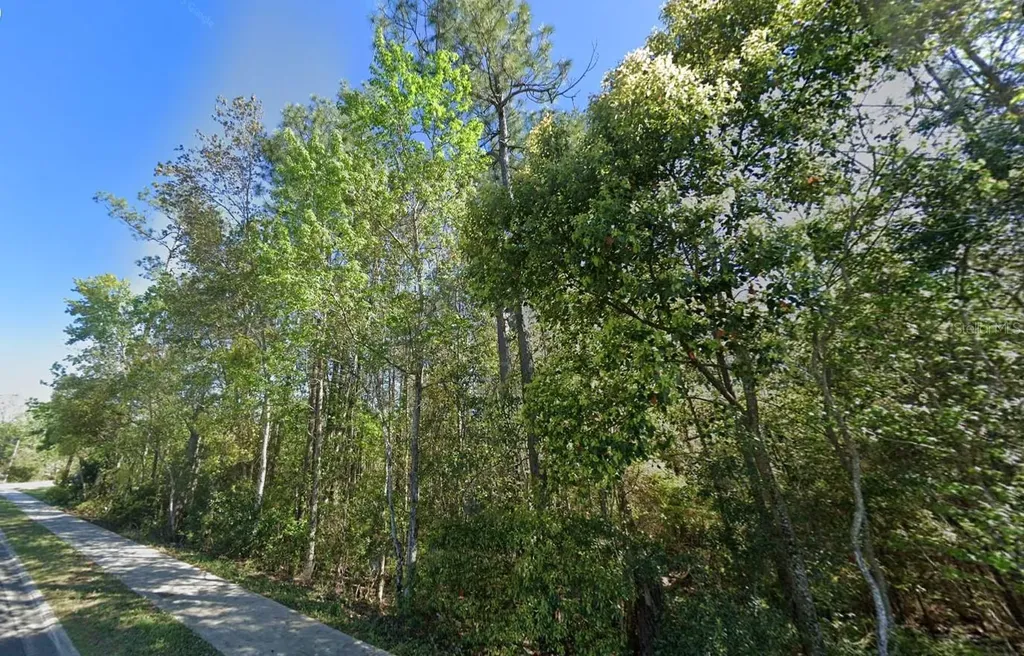 3678 Robena Road Jacksonville FL 32218