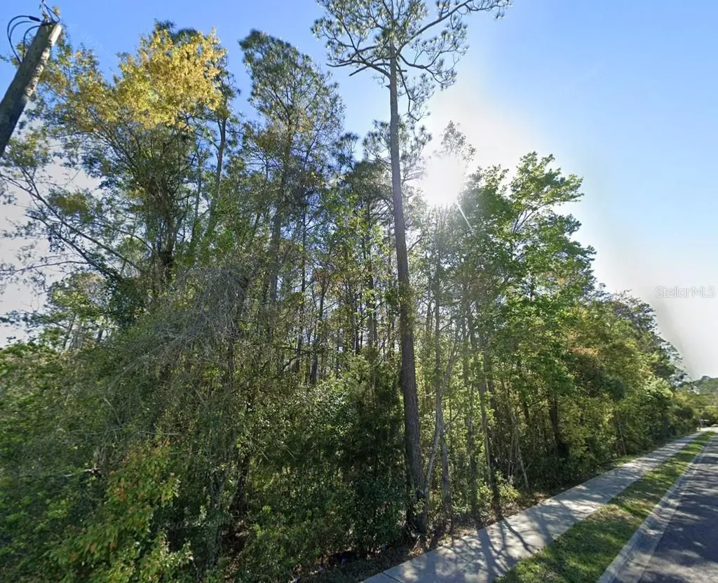 3678 Robena Road Jacksonville FL 32218