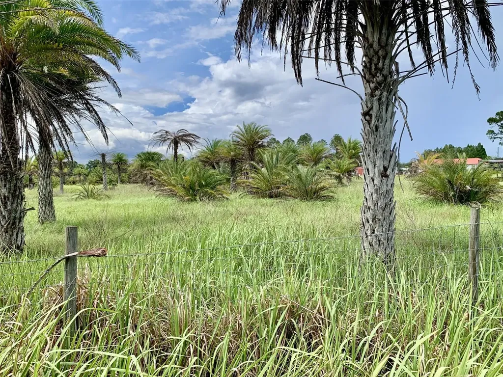 Dan Brown Hill Road Brooksville FL 34602