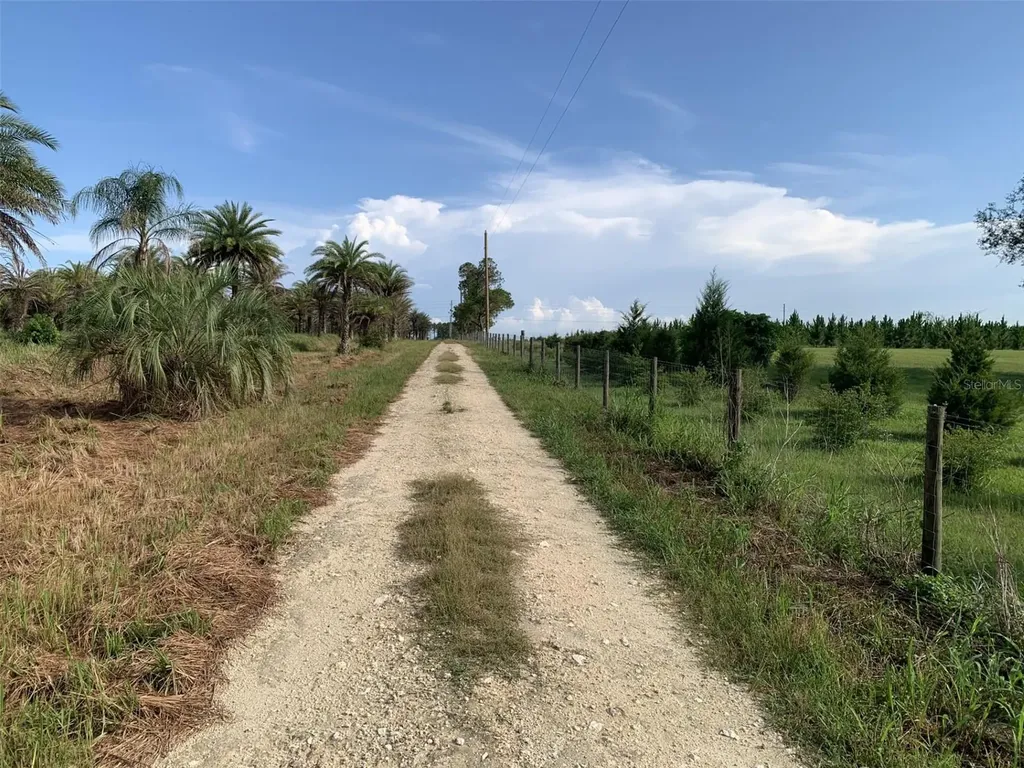 Dan Brown Hill Road Brooksville FL 34602
